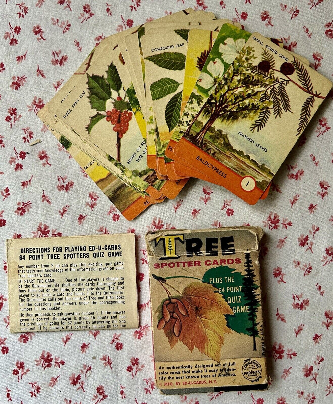 Vintage 1962 Tree Spotter Boxed Card Set 36 Quiz Cards Ed.U. Cards Complete Set