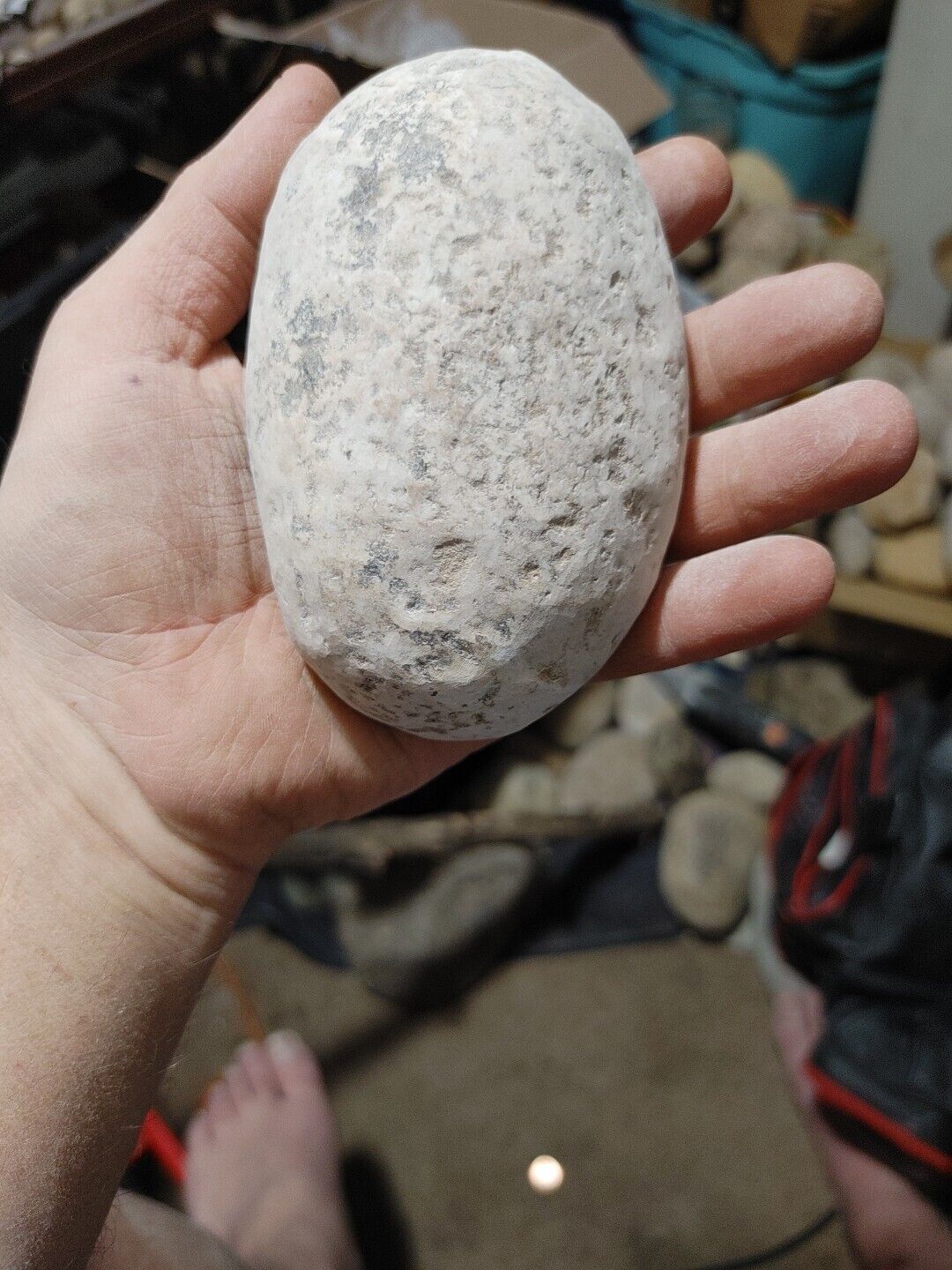 Authentic Tricerotops Egg. Dinosaur Fossil Of Petrified Egg. Prehistoric...