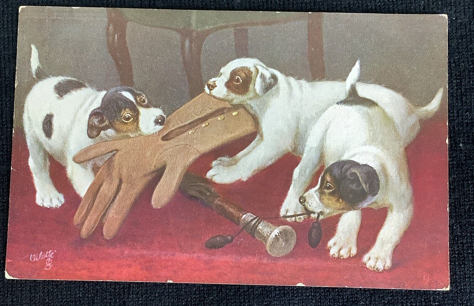 Vintage Puppy Dog With Glove Raphael Tuck Postcard Mischievous Baby 1919
