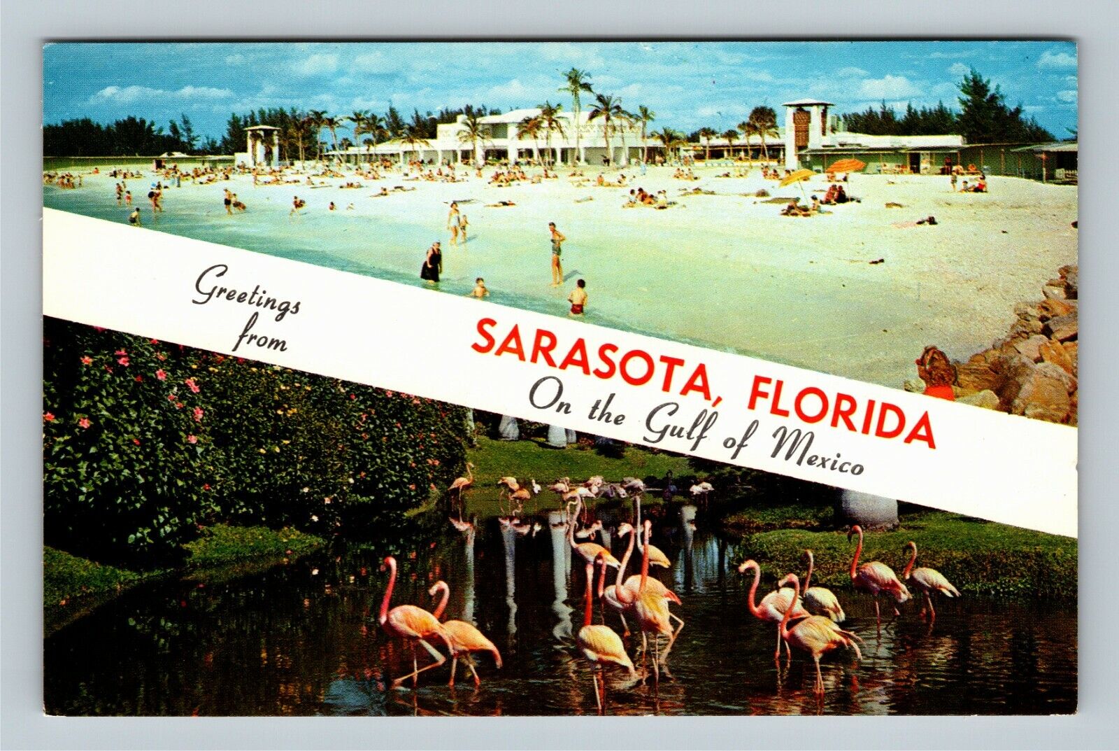 Sarasota FL, Banner Greetings, Lido Beach, Flamingos Florida Vintage Postcard