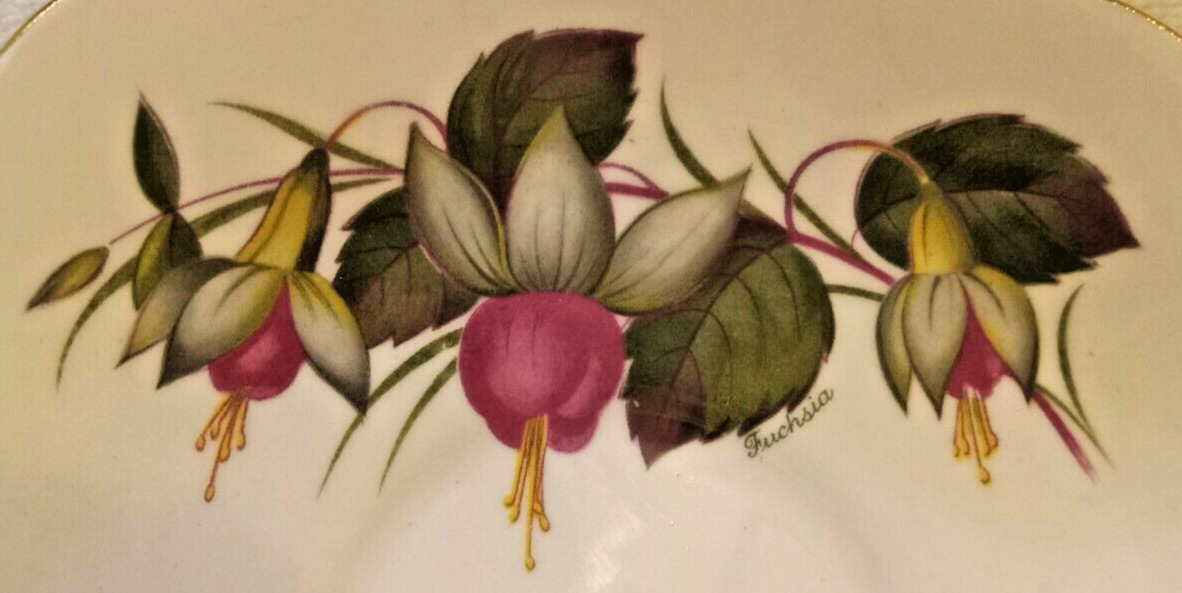 Vtg Regency English Fuschia Flower Porcelain Bone China Tea Cup & Saucer J01C