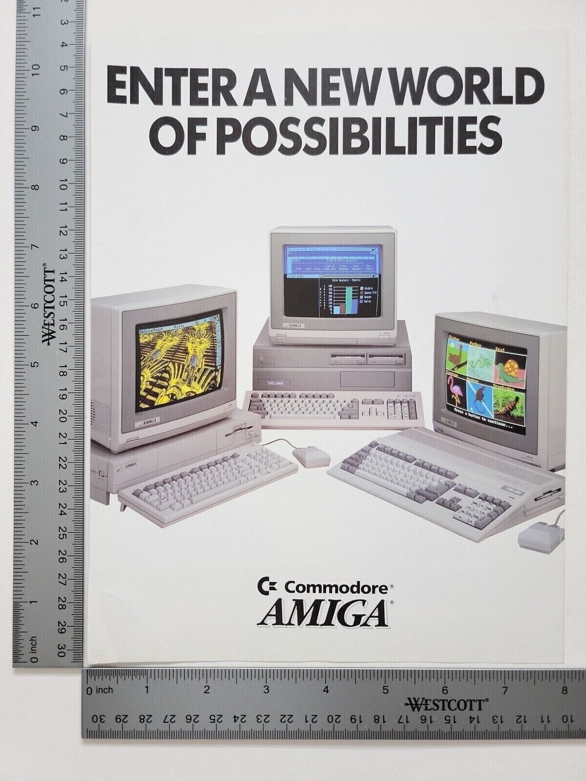 Commodore Amiga Enter A New World Of Possiblilities Print Advertisement