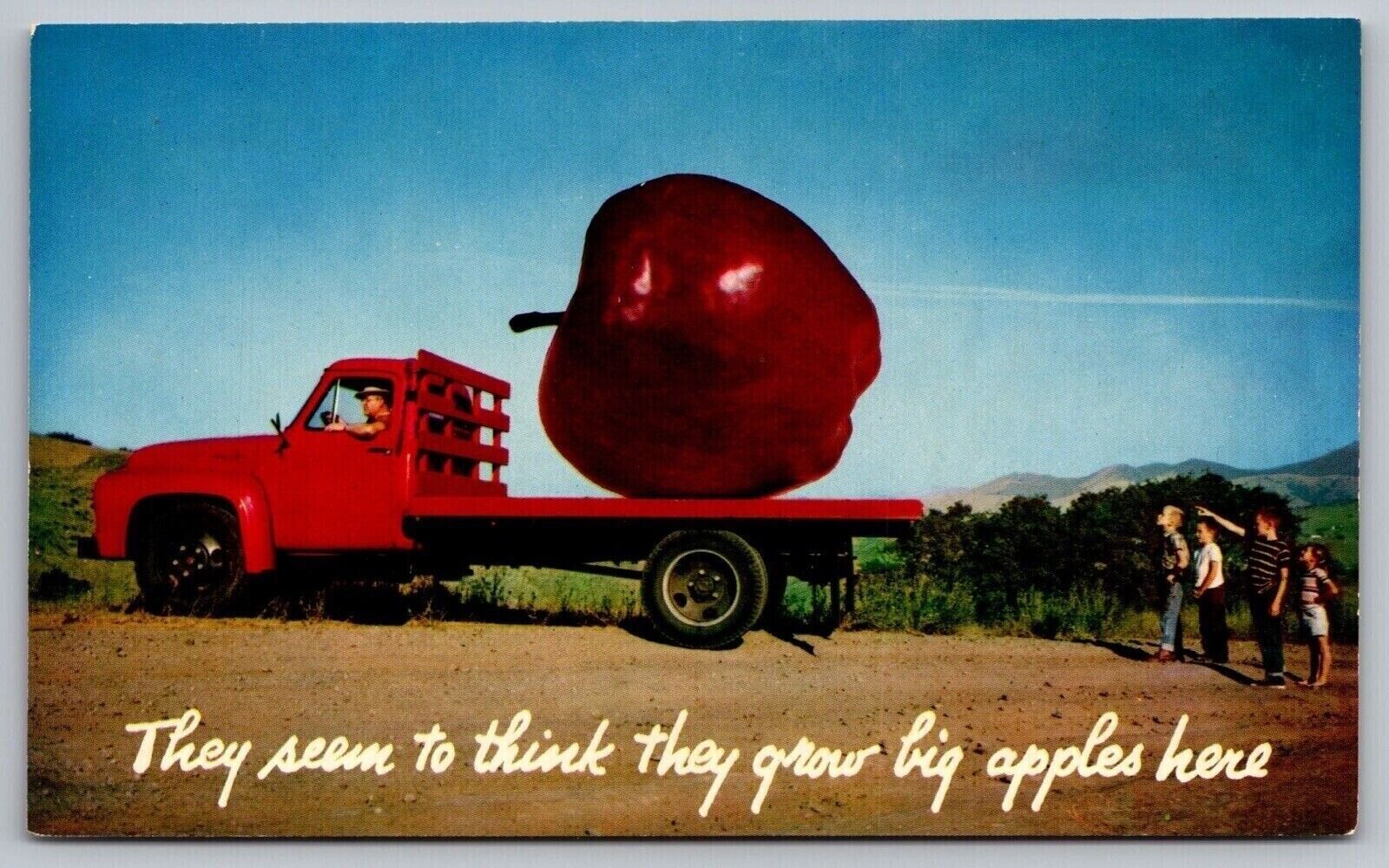Greetings North Carolina Big Apples Mountains Plains Truck Vintage UNP Postcard