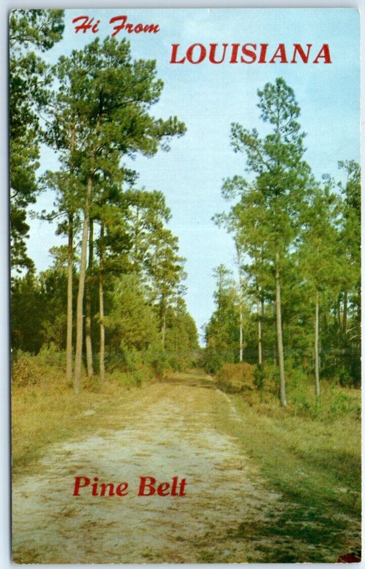 Postcard Hi from Louisiana USA North America Pine Belt