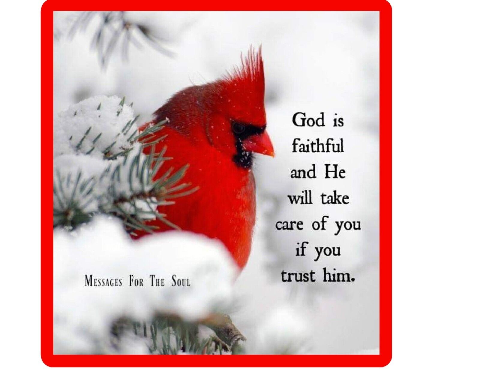 Insprirational Red Cardinal Blessed Bird Trust God  Refrigerator Fridge Magnet