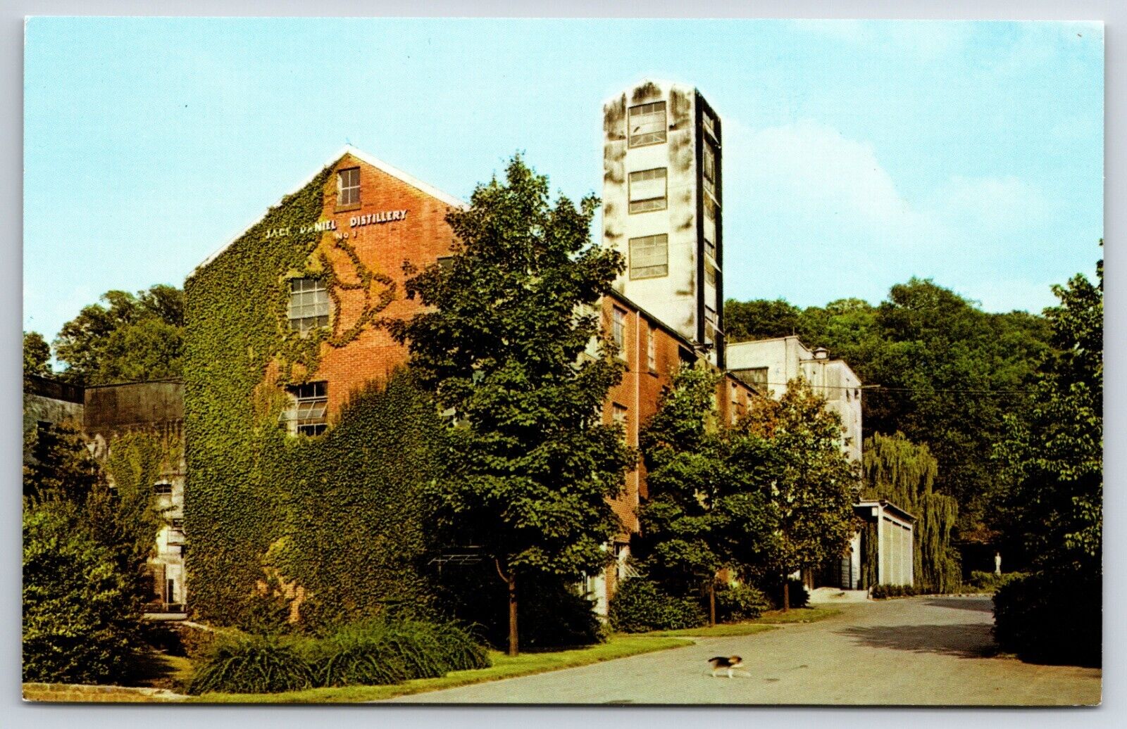 Jack Daniel\'s Distillery Hollow Lynchburg Tennessee TN Vintage Chrome Postcard