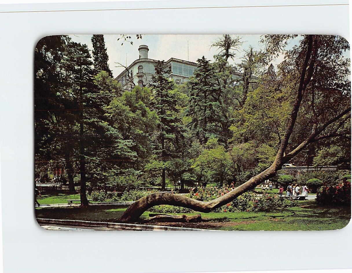 Postcard Chapultepec Castle Atop 