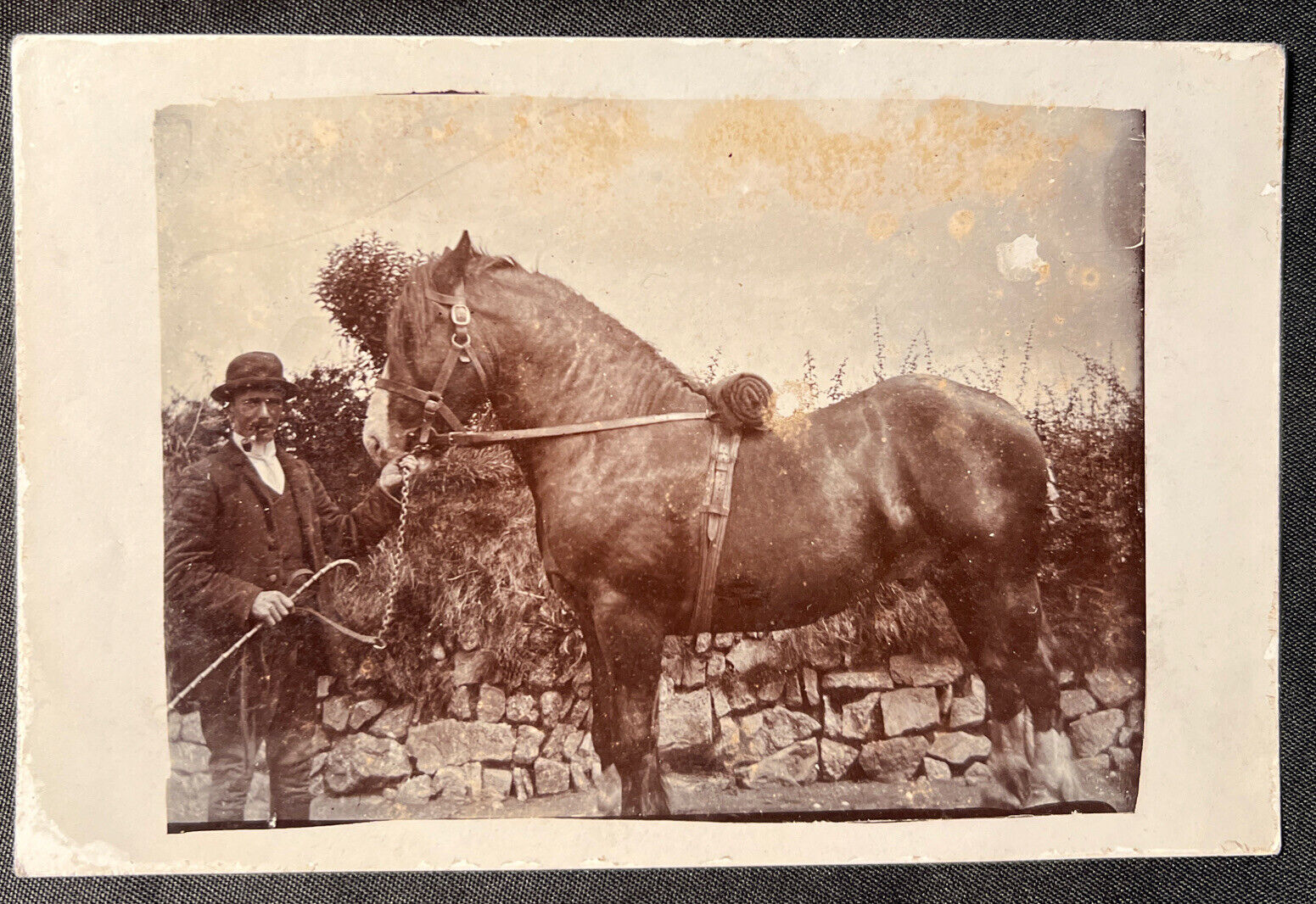 c. 1907 MAN w hat PIPE and Cane w BIG Horse RPPC Real Photo Postcard
