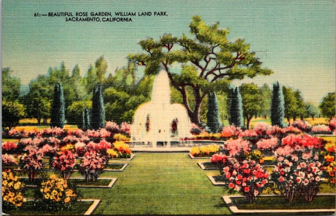 Sacramento California CA William Land Park Rose Garden Vintage Postcard PM 1947