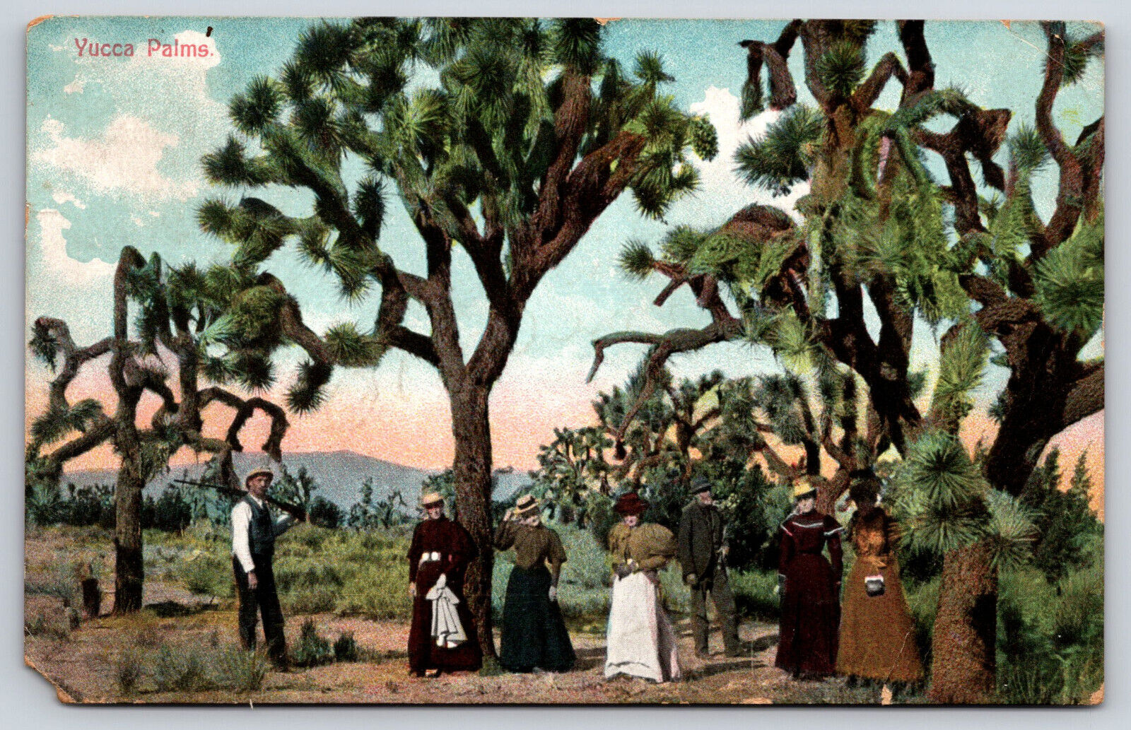 Yucca Palm Plants, Landscape Mountains Sky People, Vintage Posted 1909 Postcard