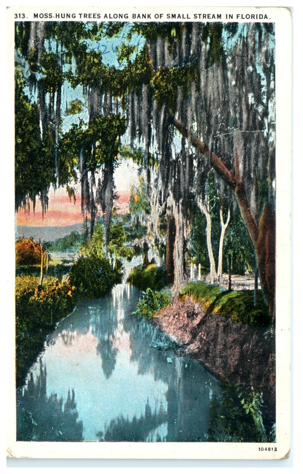1926 Moss Hung Trees Along Bank in Small Stream in FL Florida Postcard