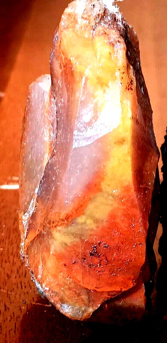 Volcanic Petrified Wood Limb Cast W Orange Red Yellow Translucent