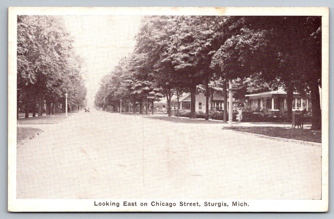 Sturgis MI Michigan Postcard Chicago Street Looking East Residential St. Joseph