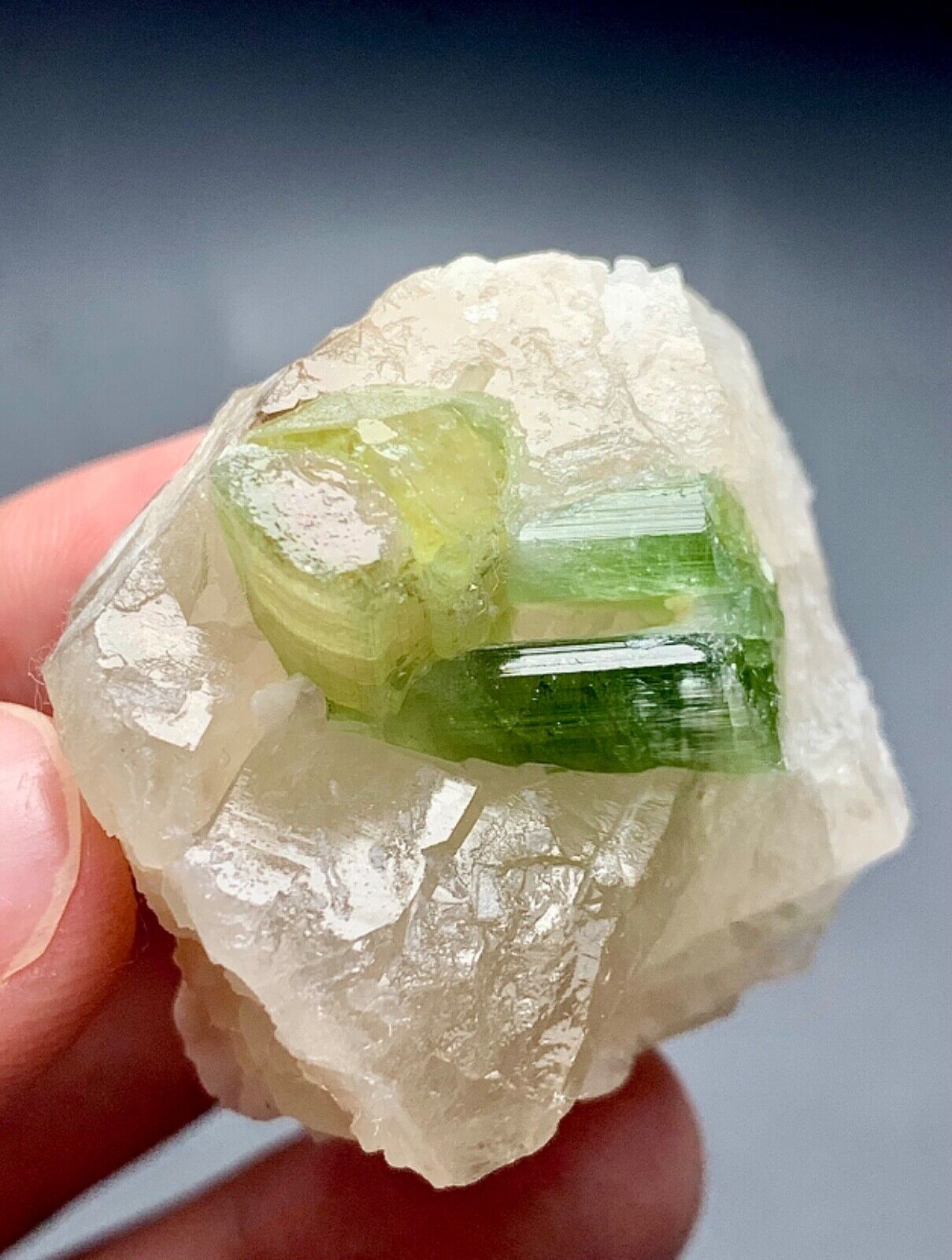 242 CT Tourmaline Crystals On Quartz Specimen From Afghanistan