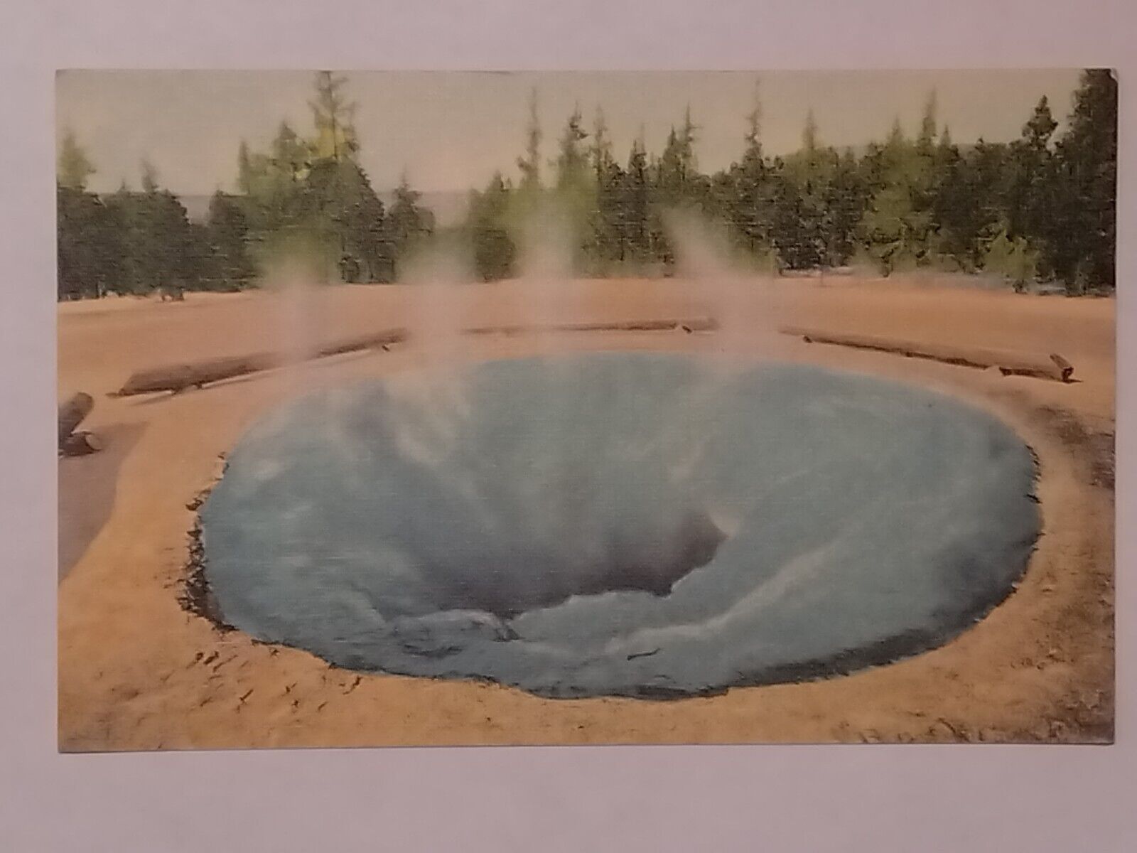 Morning Glory Pool Yellowstone Postcard