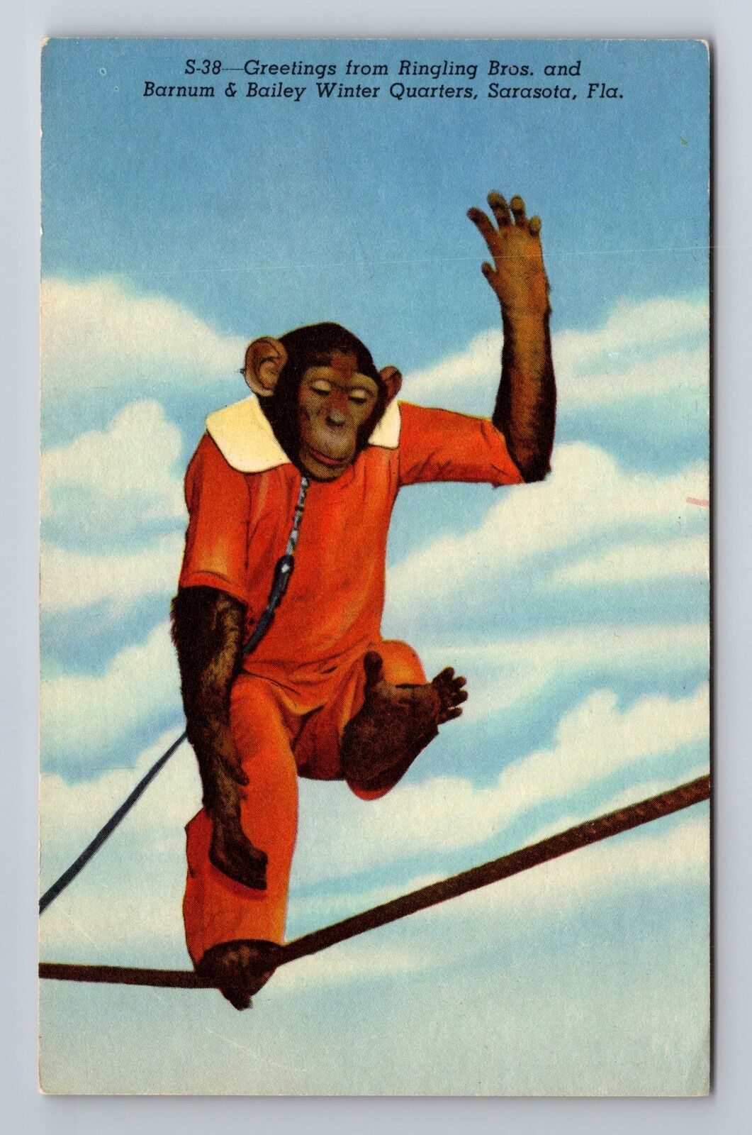 Sarasota FL-Florida, Monkey Performs, Ringling Bros Winter Home Vintage Postcard
