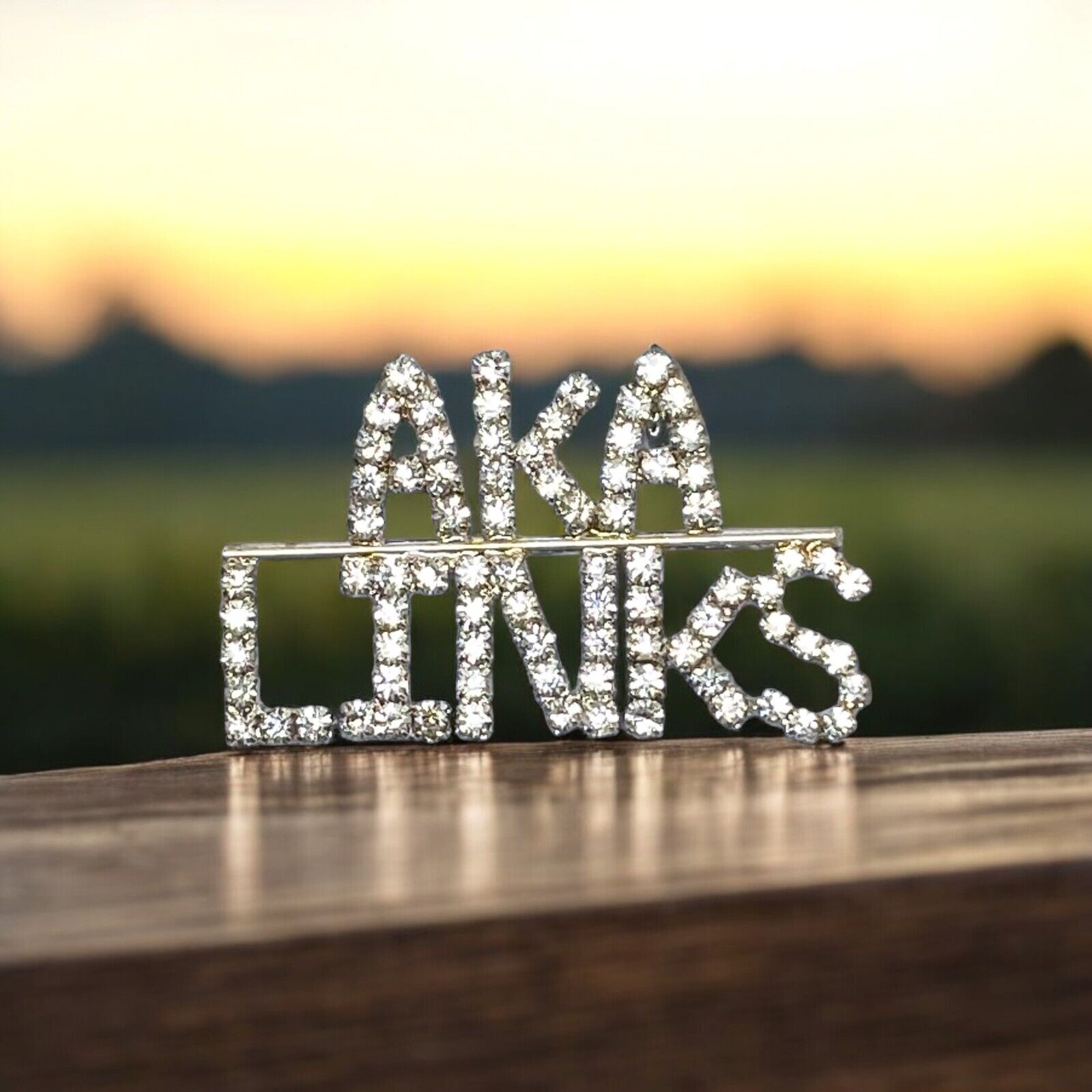 Alpha Kappa Alpha Sorority AKA LINKS Pin Silver Tone Clear Rhinestones