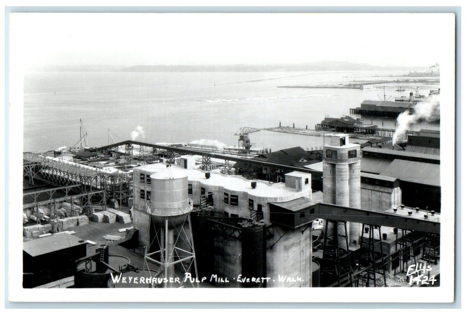 c1950's View Of Weyerhaeuser Pulp Mill Everett Washington WA RPPC Photo Postcard