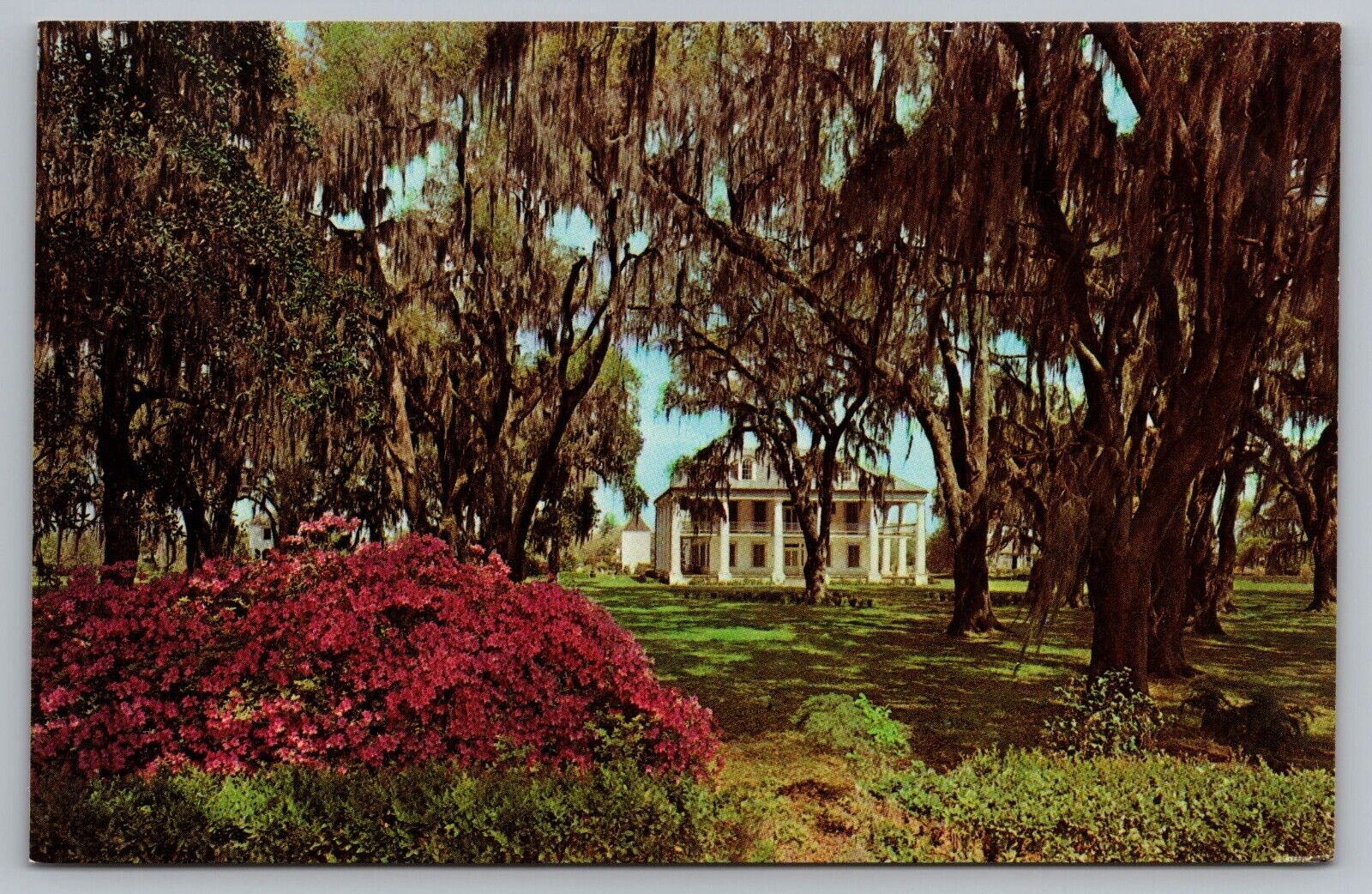 Postcard Beautiful Southern Plantation 