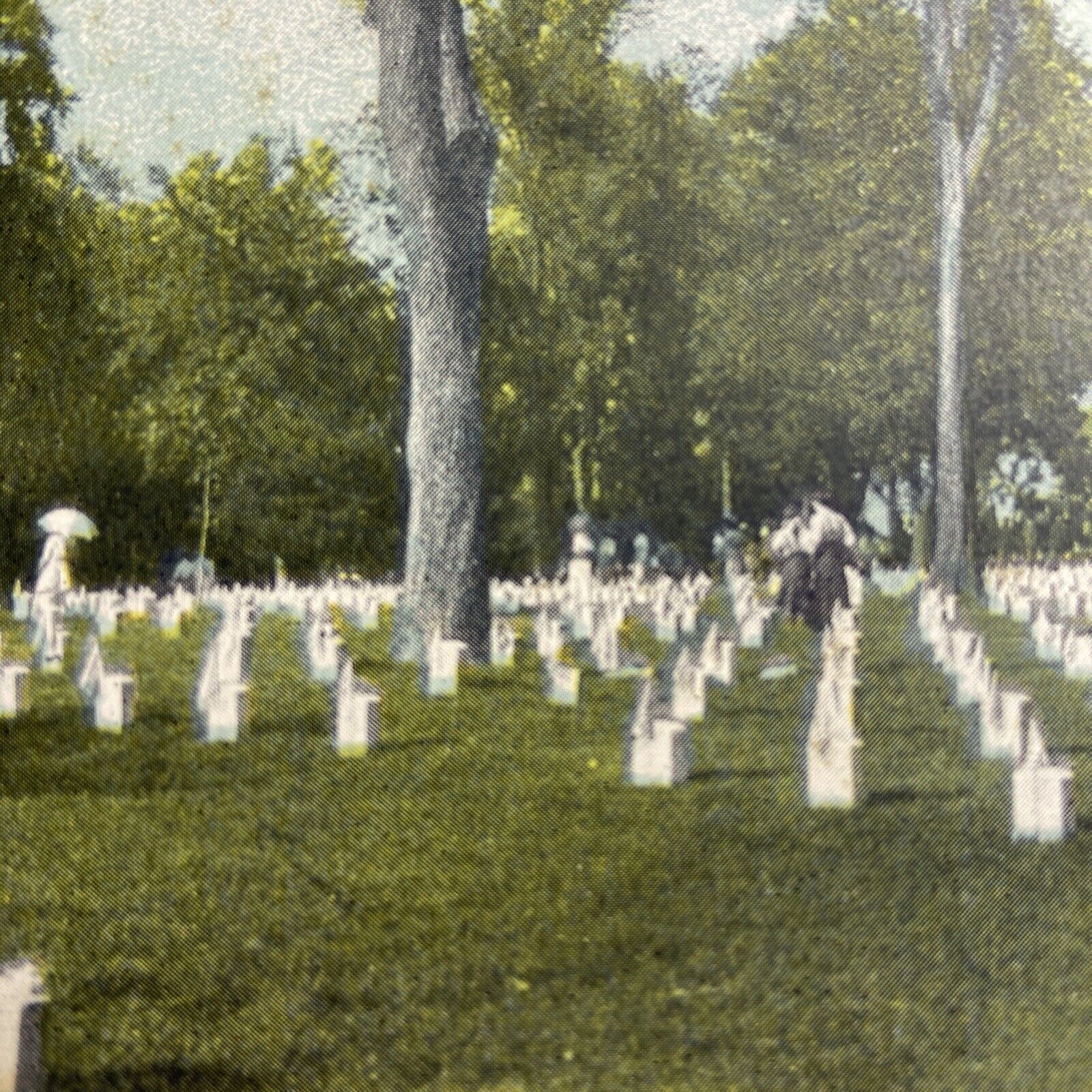 Postcard MO St. Louis Jefferson Barracks National Cemetery People W.W. Hixson