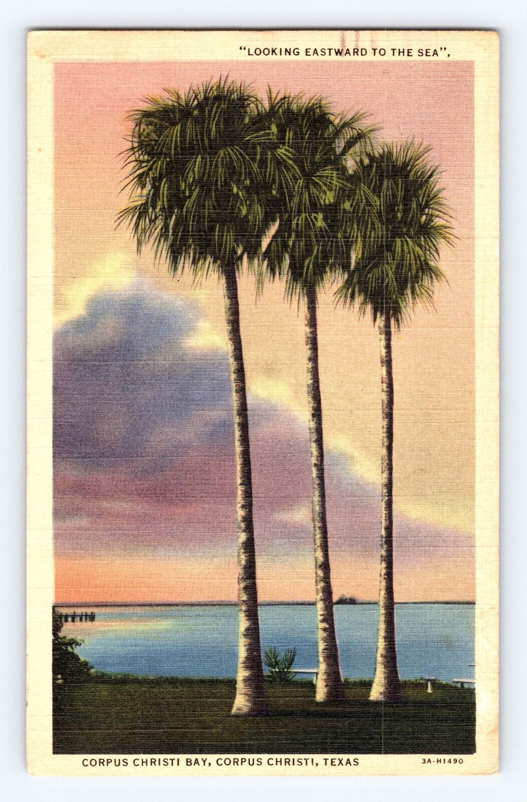 Old Postcard Corpus Christi TX Bay Palm Trees 1939 Flag Cancel