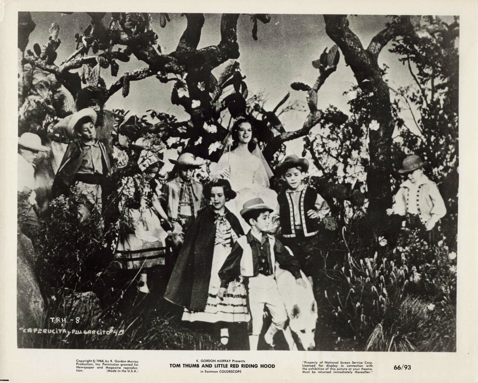 Tom Thumb and Little Red Riding Hood Movie VINTAGE 8x10 Photo