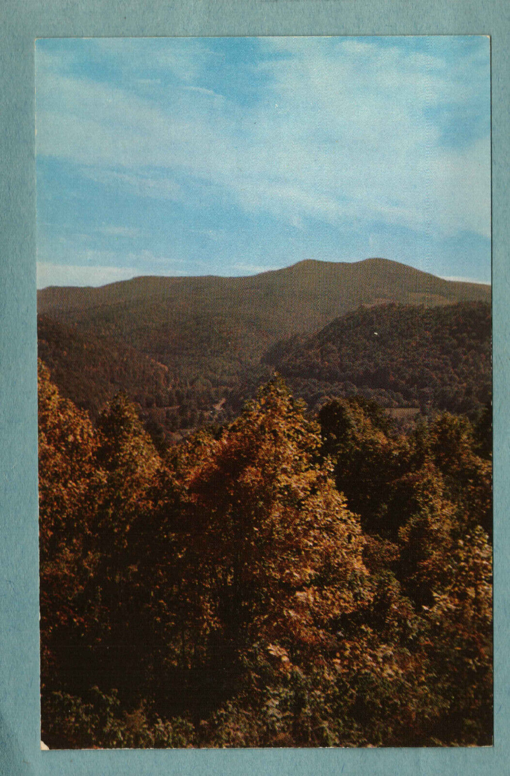 Postcard Monongahela National Forest Marlinton West Virginia WV