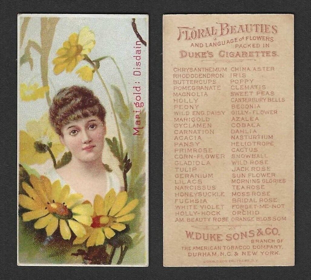 c1880\'s N75 Duke Tobacco Card - Floral Beauties Series - Marigold Disdain