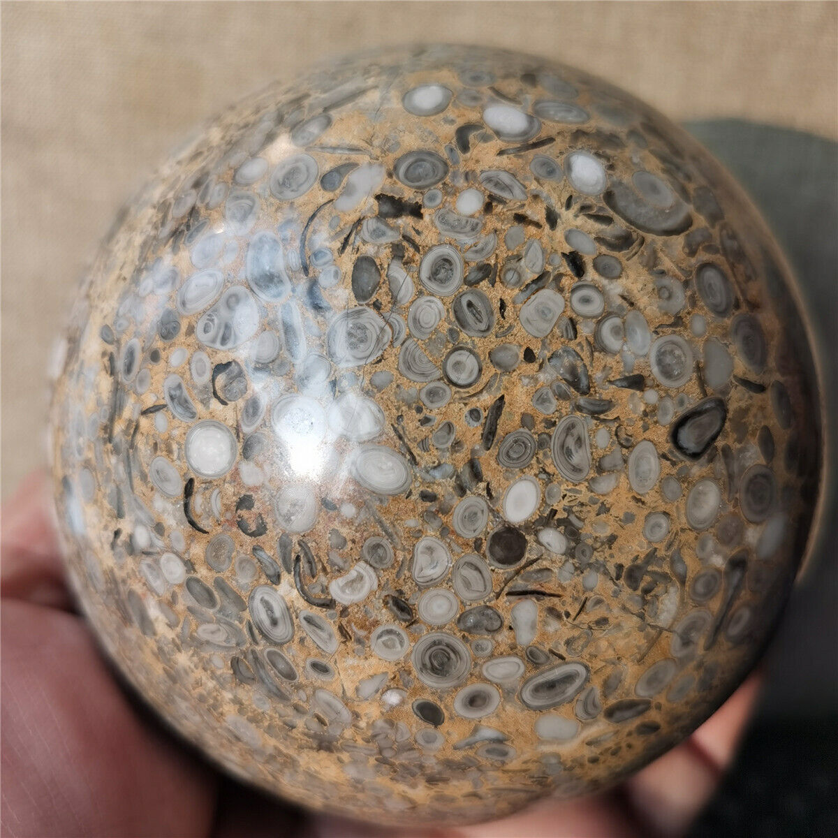 2.7LB Beautiful Natural Polished Ocean jasper crystal sphere specimen #869