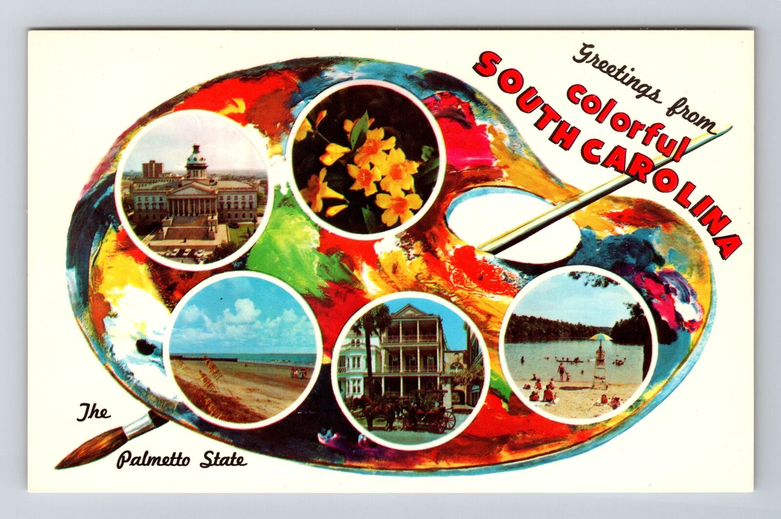 SC-South Carolina, Greetings, The Palmetto State, Vintage Postcard