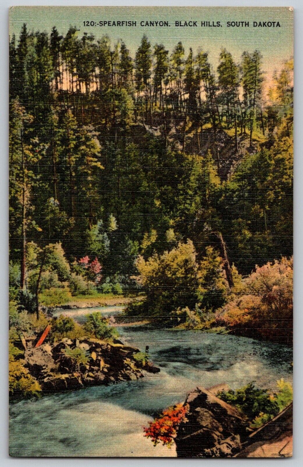 Vintage Linen Postcard - Spearfish Canyon Black Hills SD - Posted 1946