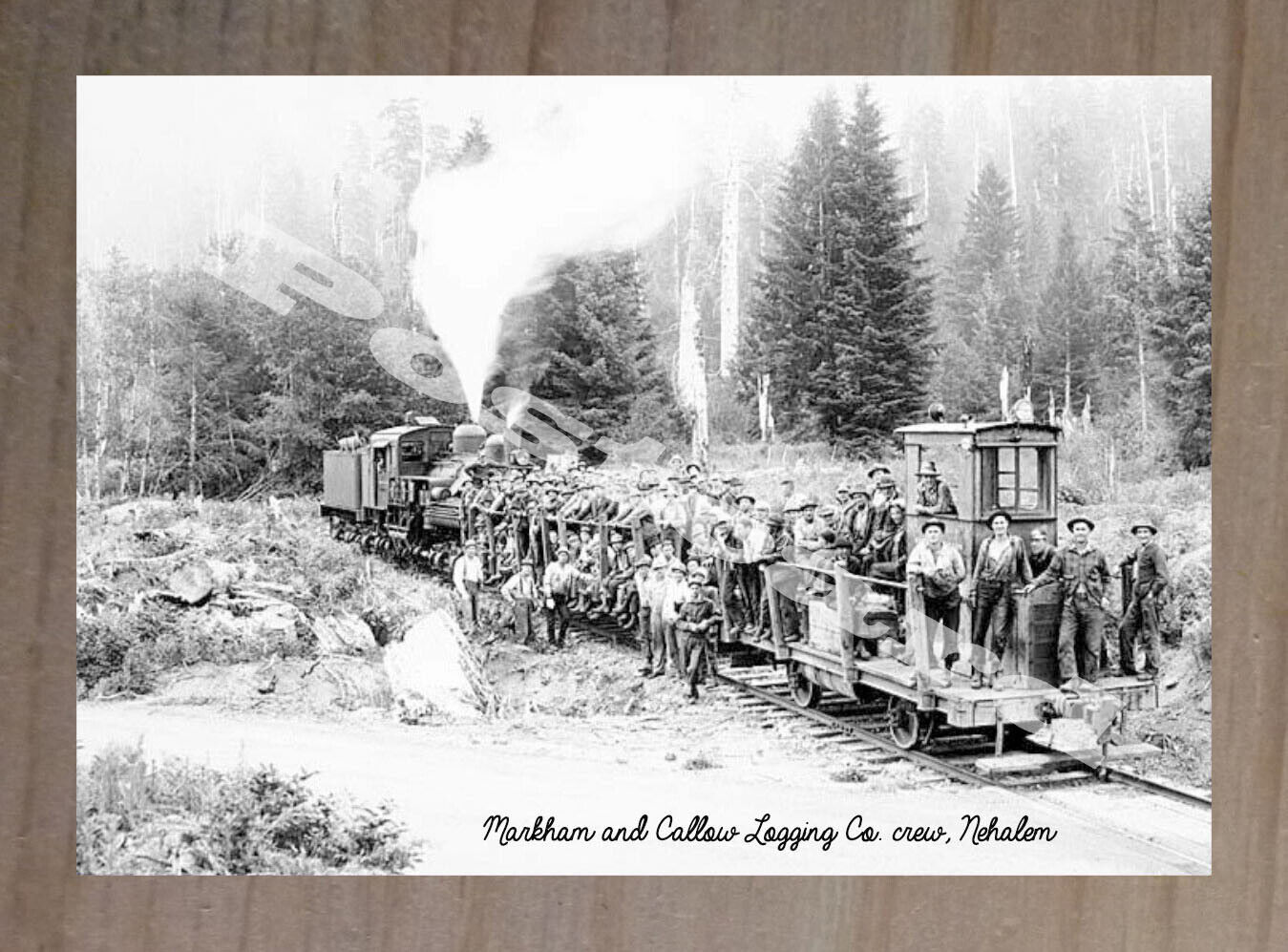 Historic Markham and Callow Logging Company, Nehalem Logging Postcard 1