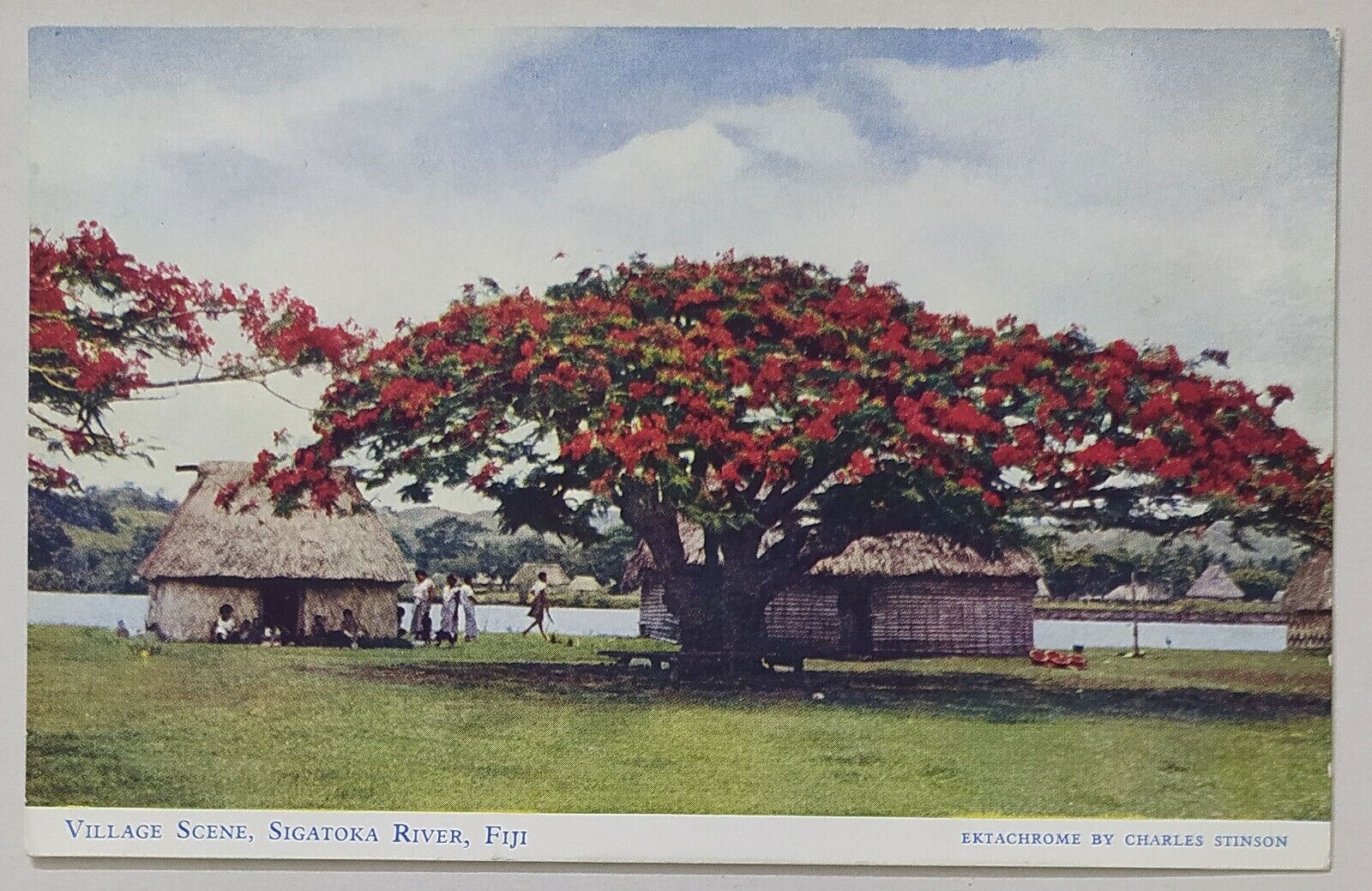 Village Scene Sigatoka River Fiji  Post Card