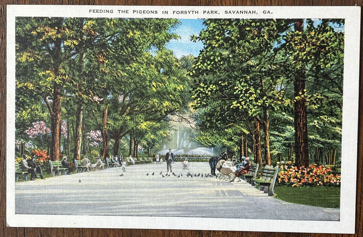 Savannah Georgia Forsyth Park People Feeding Pigeons Vintage Postcard c1920
