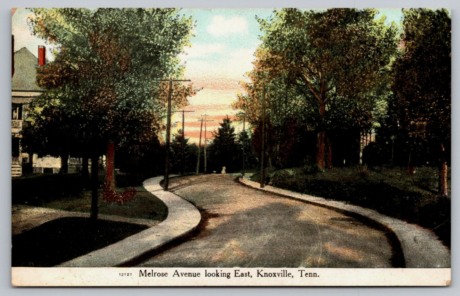 Melrose Avenue Looking East Knoxville TN Postcard Hand Colored Lithograph