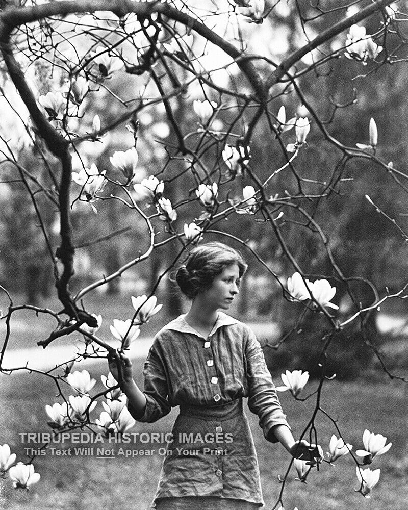 Antique 1914 Edna St Vincent Millay Photo Beautiful Woman Tree Blossoms * Genthe