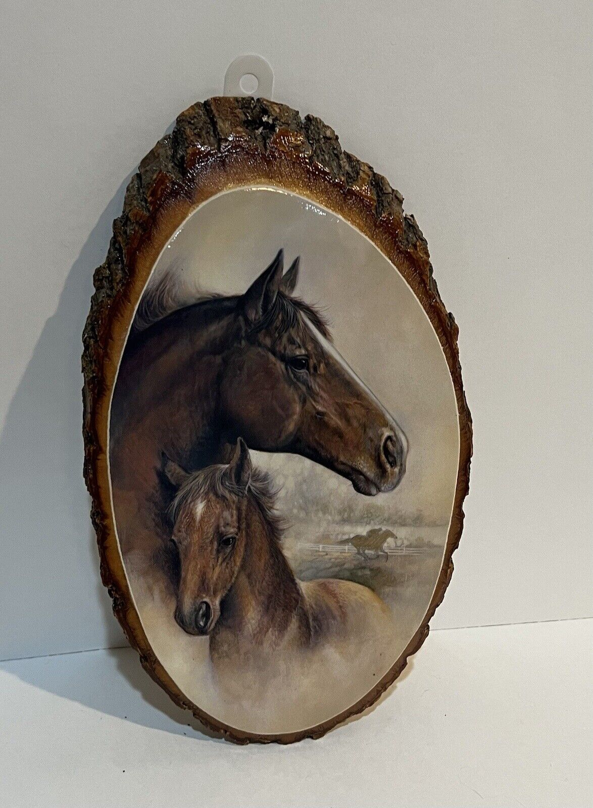 Horse & Foal Art On Oval Wood Plaque W/ Bark, Rider In Distance Ridin Hy Ranch