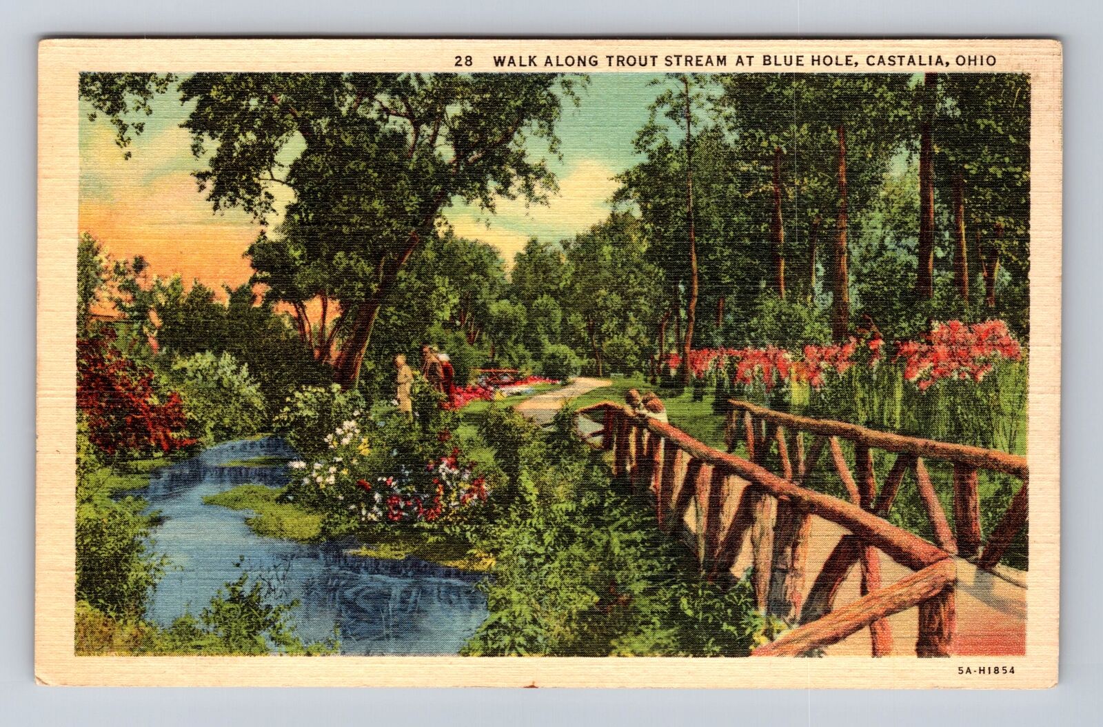 Castalia OH-Ohio, Walk Along Trout Stream, Blue Hole, Antique, Vintage Postcard