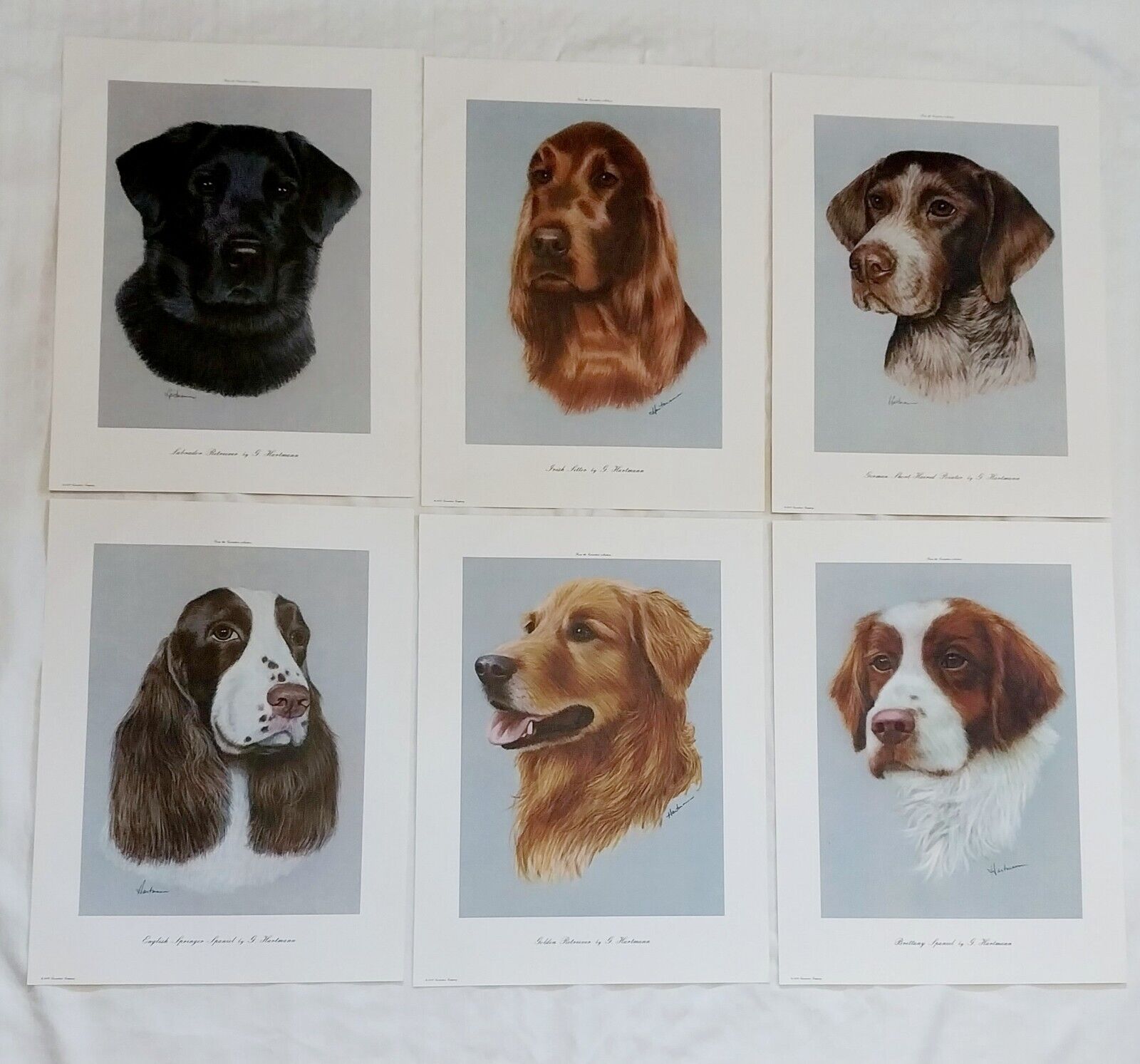 Rare 1974 G. Hartmann Art Portfolio (6) Irish Setter, Labrador,Brittany Dogs