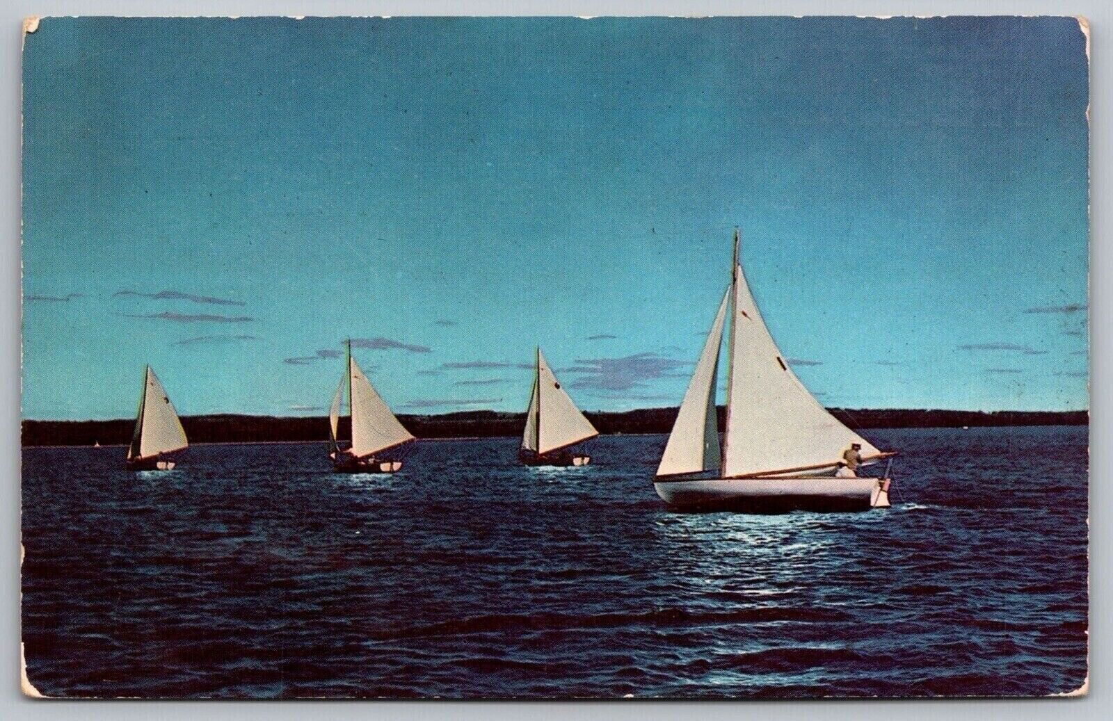 Summer Sailing Cayuga Lake Finger Lakes Sailboats Postcard UNP VTG Plastichrome