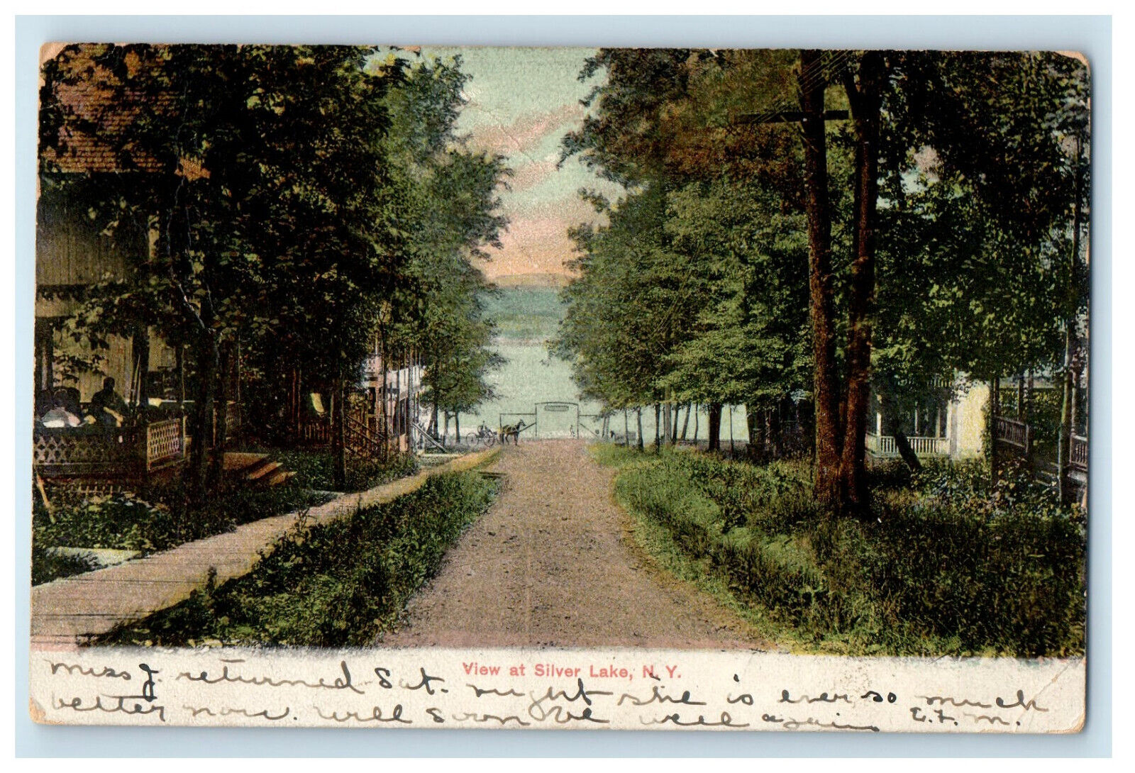 1907 View at Silver Lake New York NY Castile NY Posted Antique Postcard