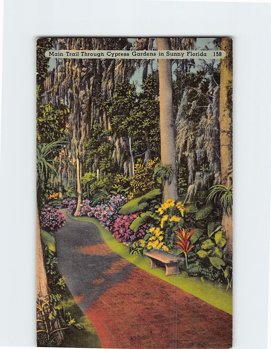 Postcard Entrance Path at Cypress Gardens Florida USA