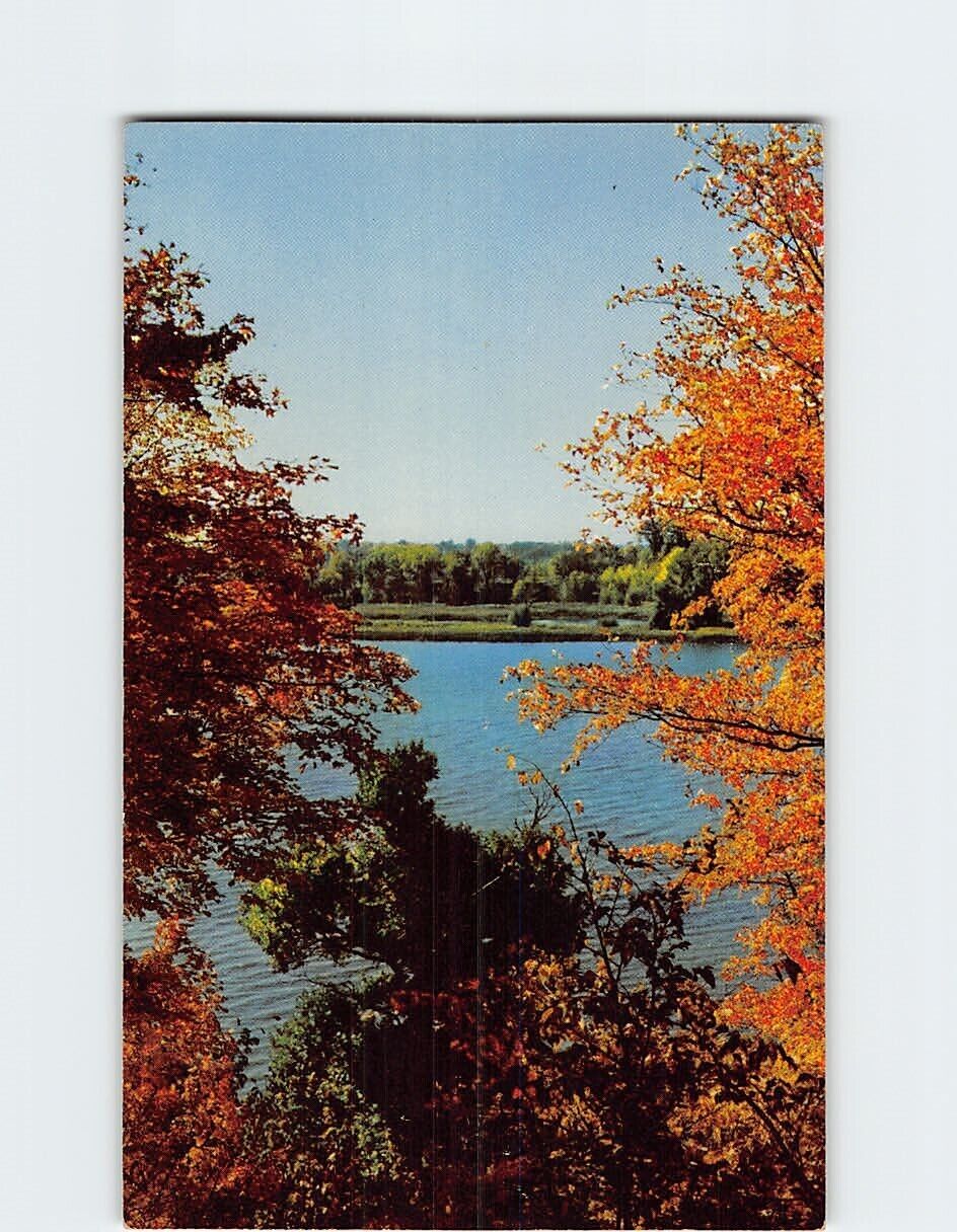 Postcard A Northwoods View In Natural Color