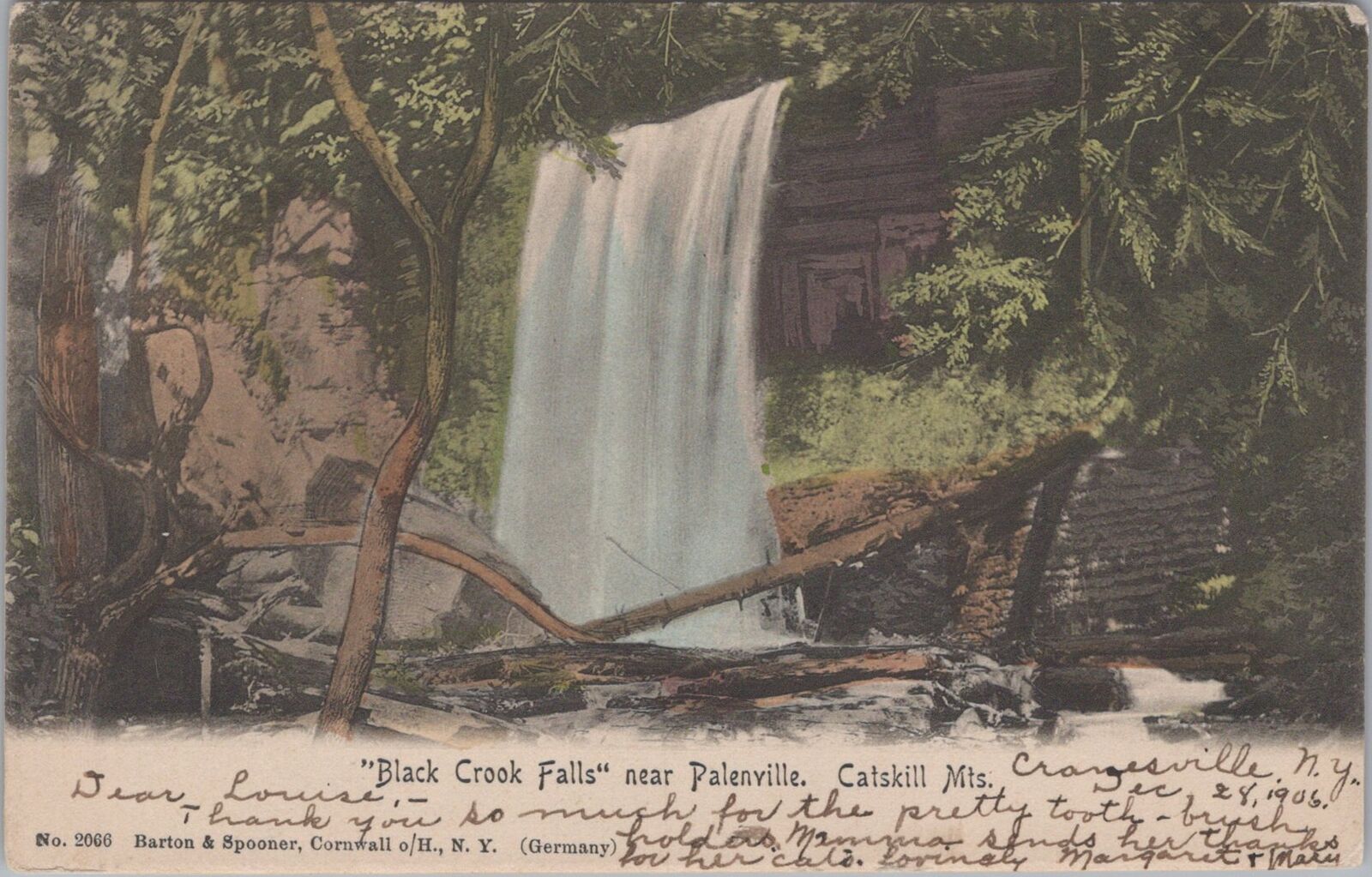 Black Crook Falls Palenville, Catskill Mts Cranesville New York 1908 Postcard