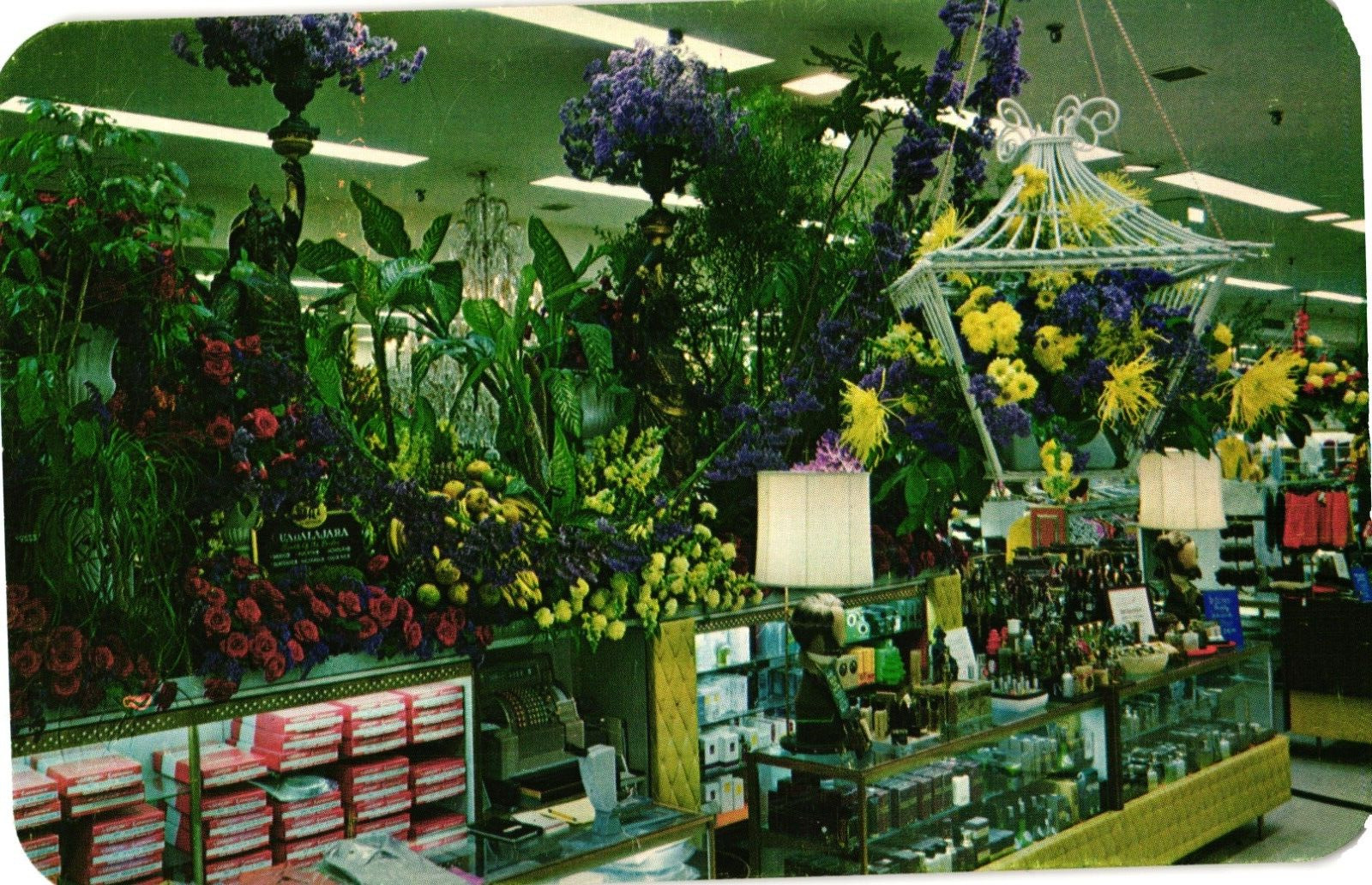 Hess\'s Department Store Annual Flower Show Allentown PA Chrome Postcard c1970