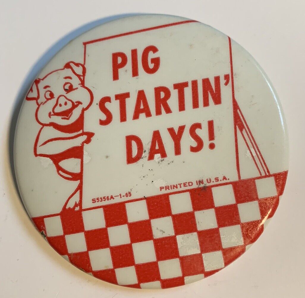 Rare Vintage Purina Chows 3” Advertising Promotion Pin 1960’s “PIG STARTIN’ DAYS