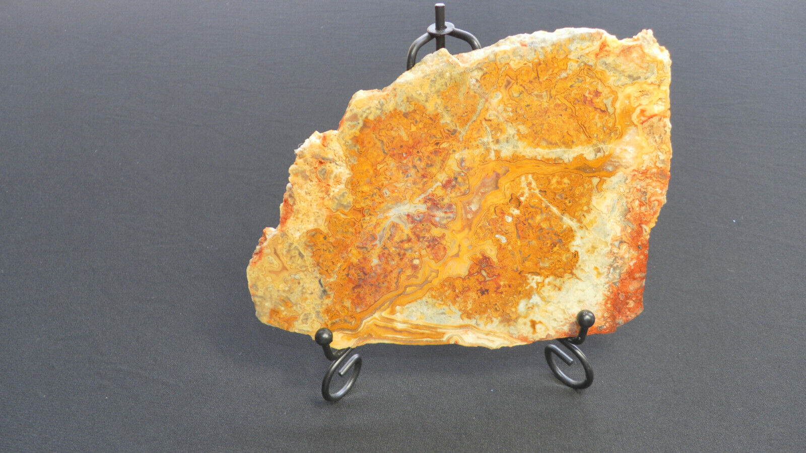 Lapidary Art Decor, Brilliant Yellow Lace from Australia Unique gifts for anyone
