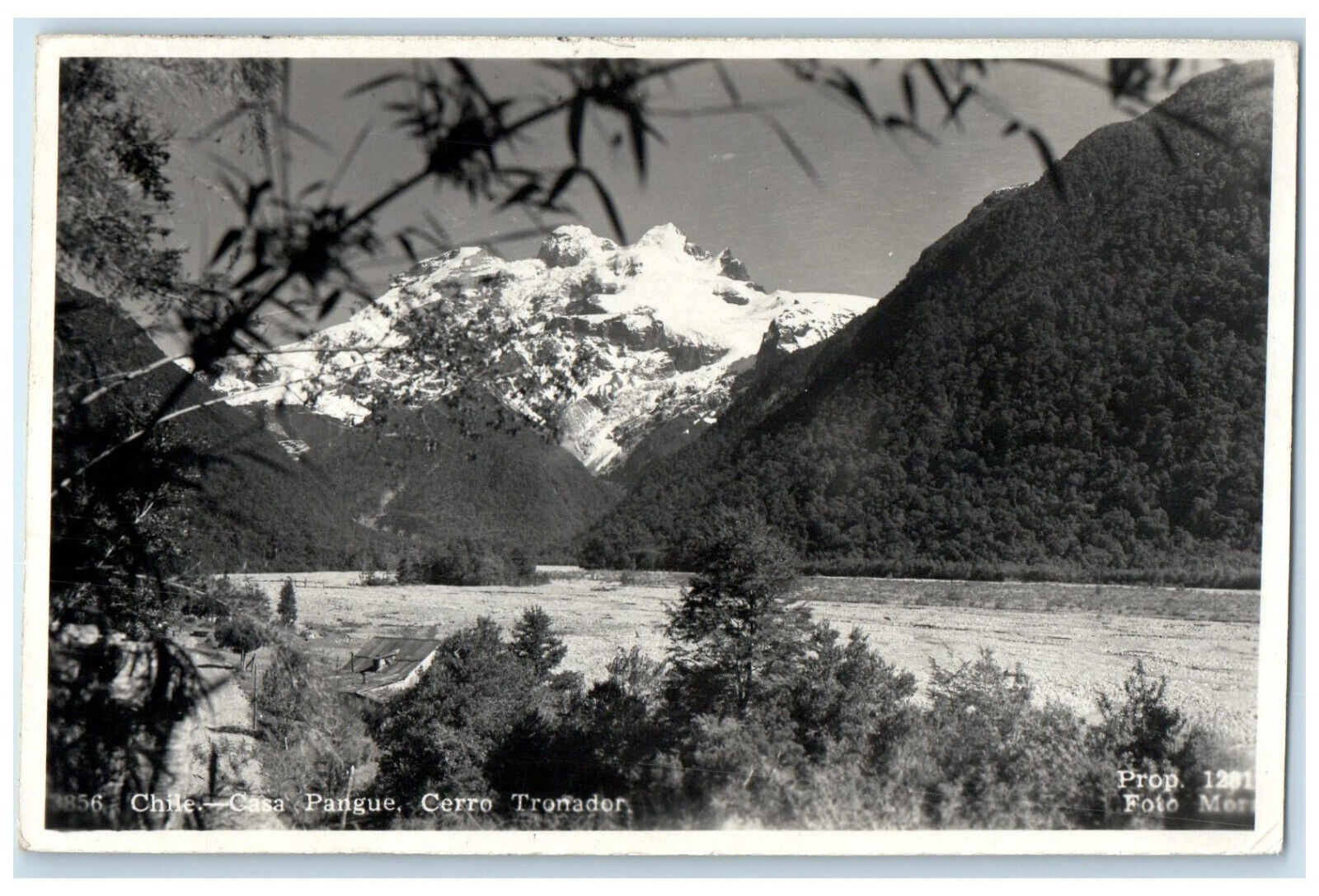 c1920\'s Casa Pangue Cerro Tronador Chile Posted Vintage RPPC Photo Postcard