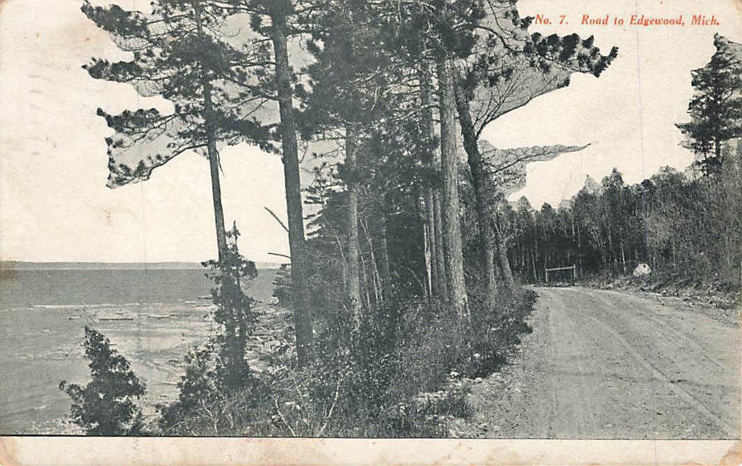 Road To Edgewood Tree Lined Dirt 1908 Michigan MI Canaan VTG P130