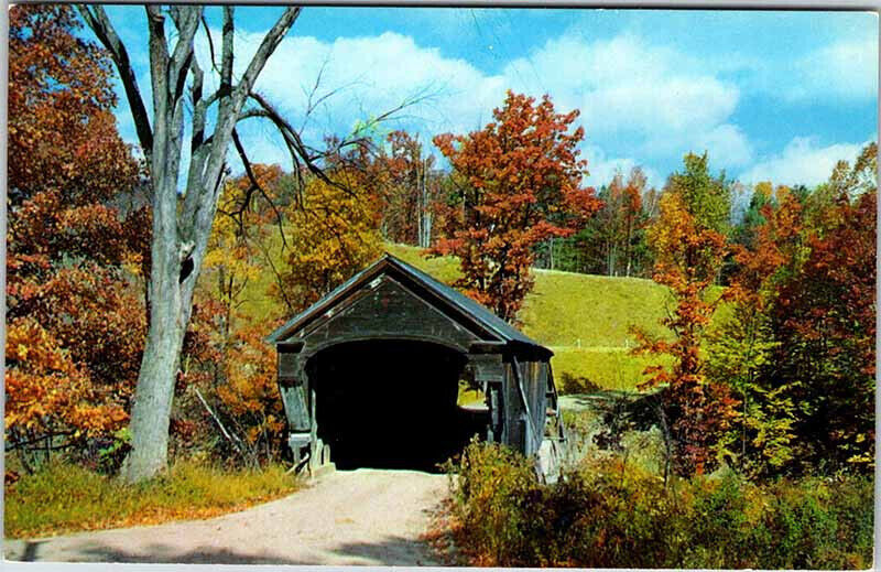 Postcard BRIDGE SCENE Amsden Vermont VT AN7486
